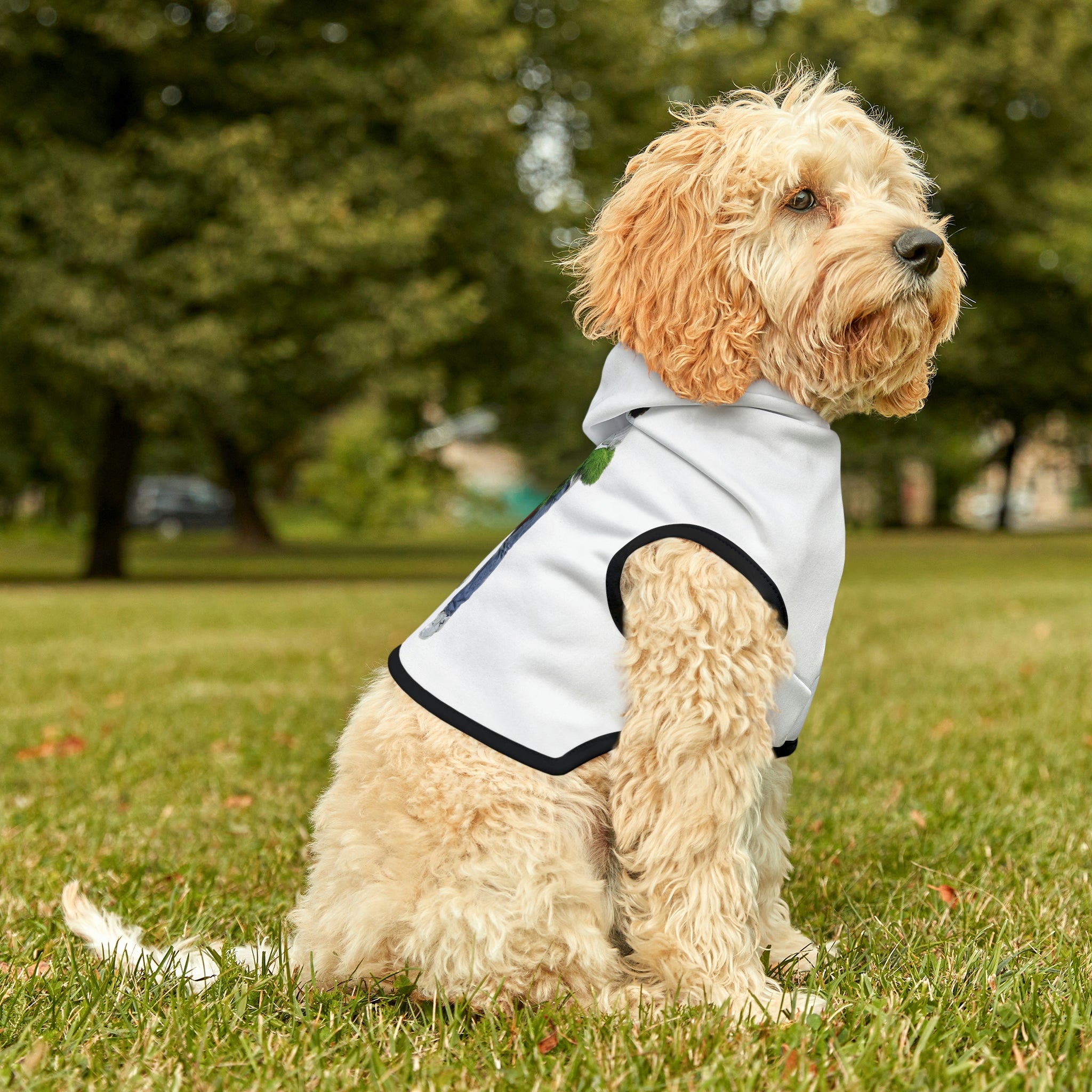 Dog 2024 hug vest